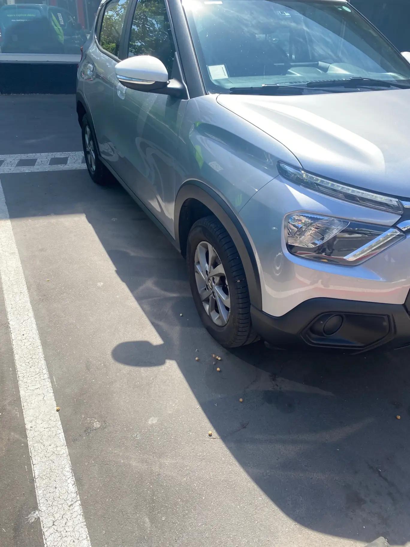 Automovil Citroen C3