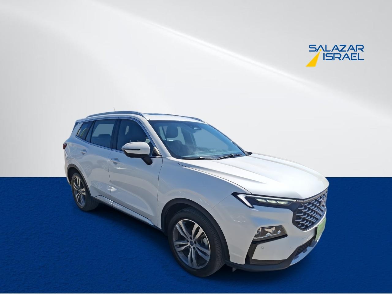 Station Wagon Ford New Territory
